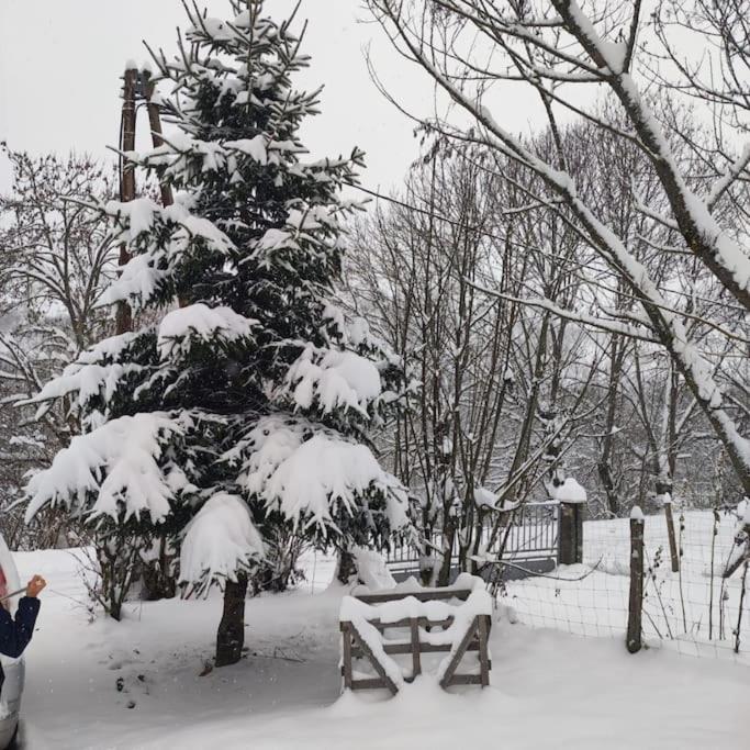 Maison De Montagne Au Calme Avec Cheminee Poubeau Dış mekan fotoğraf